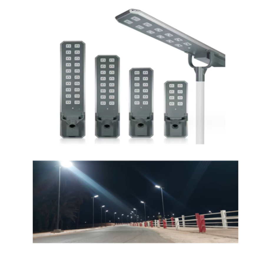 Algeria Solar Street Light Project