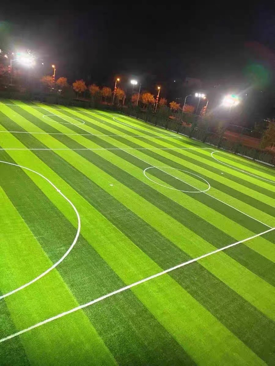 Led flood light for sport lighting